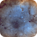 Elephant Trunk Nebula