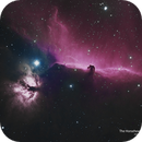 Horsehead and Flame Nebula