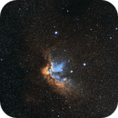 Wizard Nebula