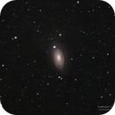 Sunflower Galaxy