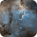 The Elephant's Trunk Nebula