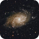 The Triangulum Galaxy