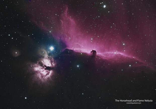 Horsehead and Flame Nebula