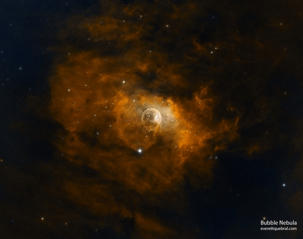 The Horsehead Nebula: Silhouette Against the Stars